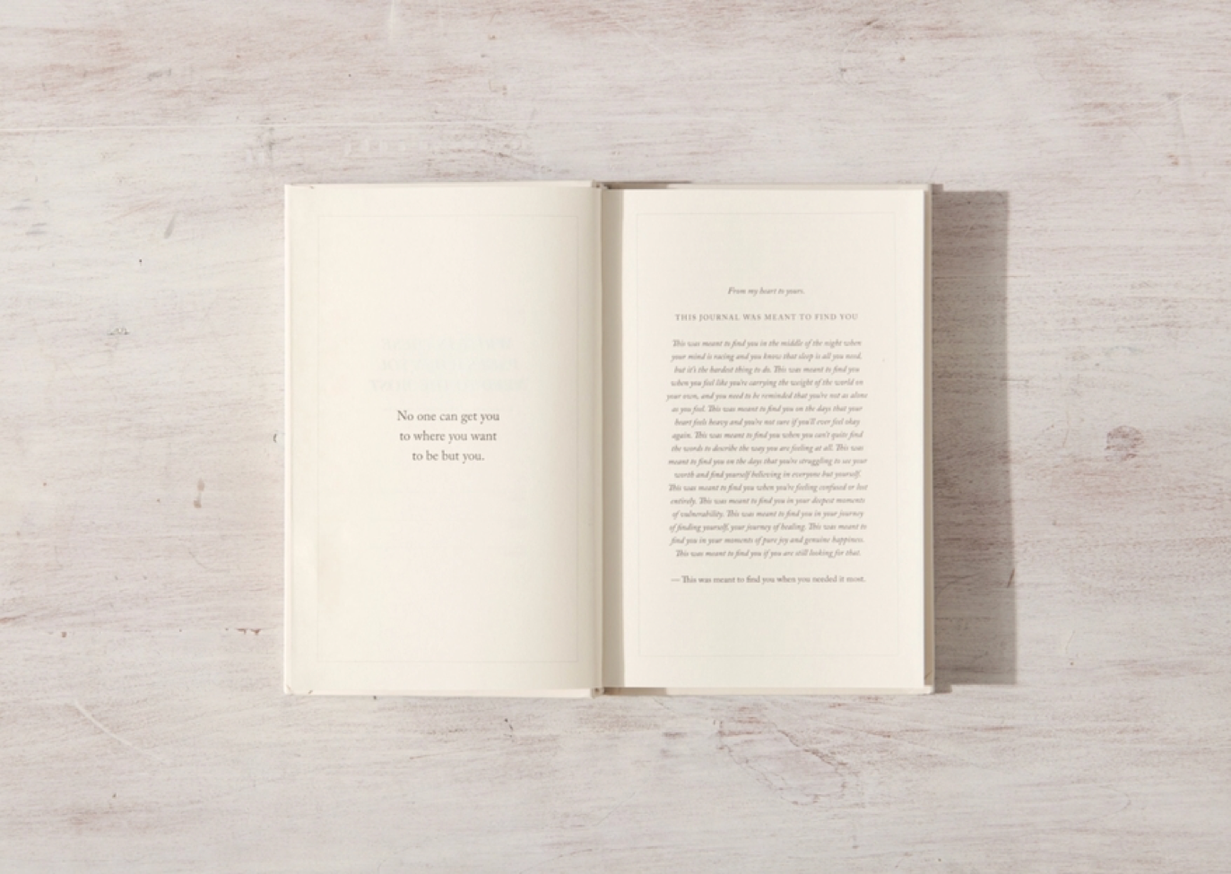 Write in These Pages Journal