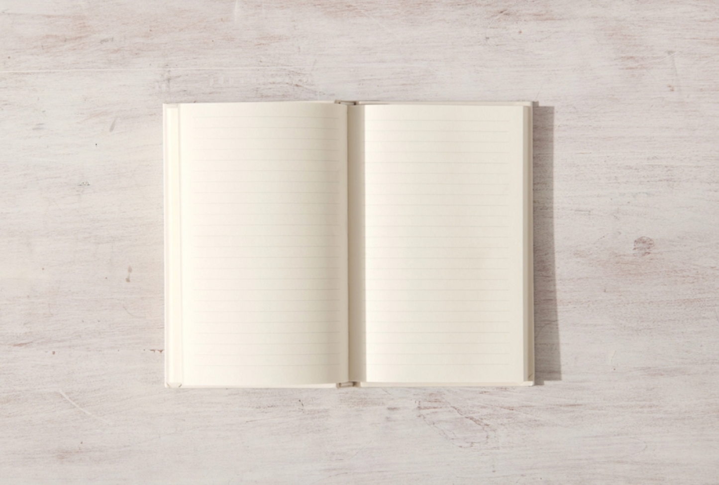 Write in These Pages Journal
